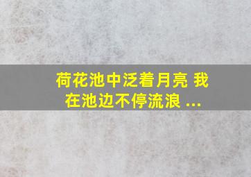 荷花池中泛着月亮 我在池边不停流浪 ...